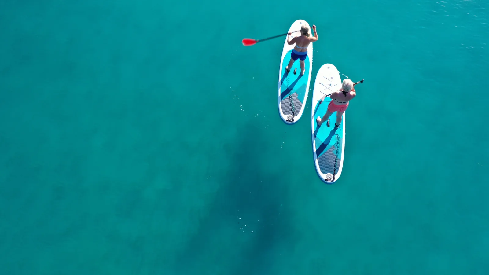 Alquiler de paddle surf (1,5 h) 2
