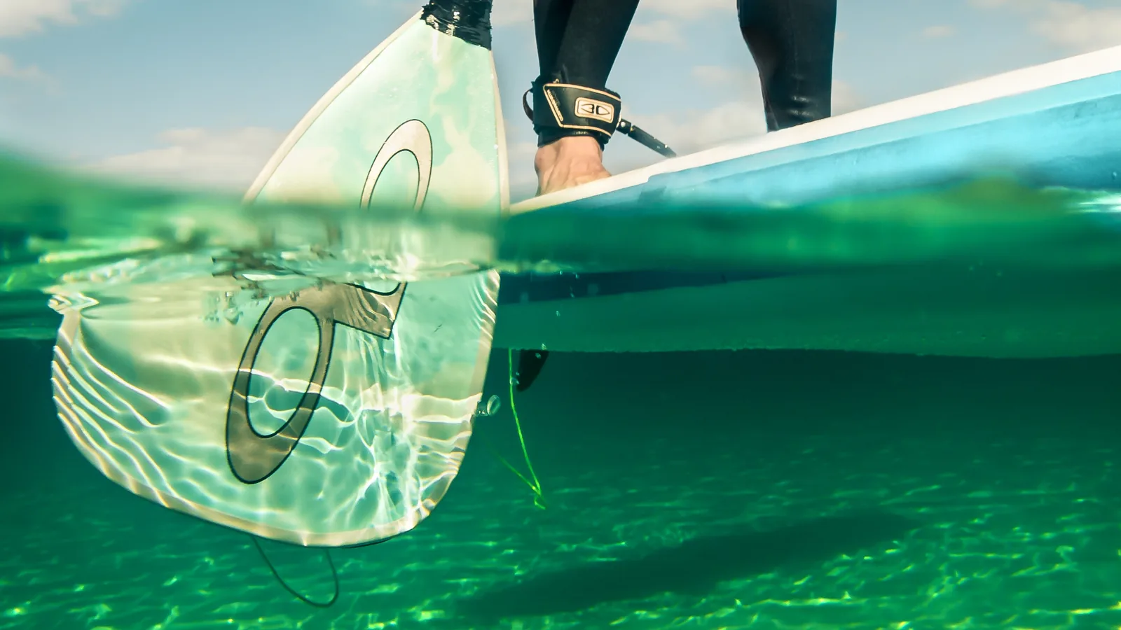 Alquiler de paddle surf (1,5 h) 6
