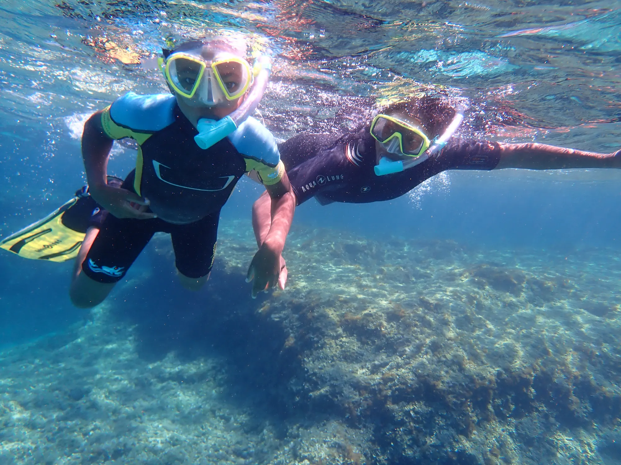 Snorkel en una reserva natural de Mallorca 4