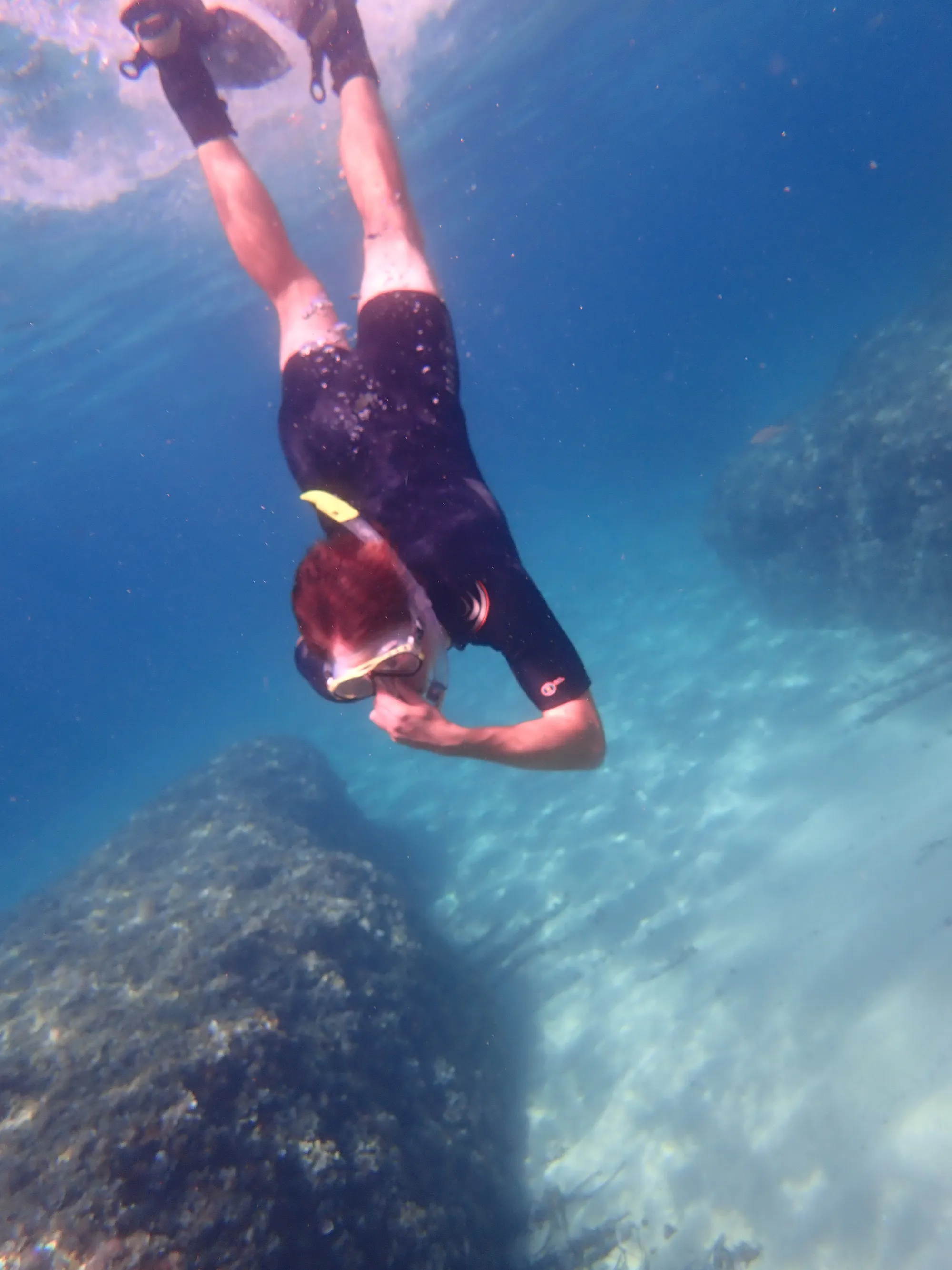 Snorkel en una reserva natural de Mallorca 6