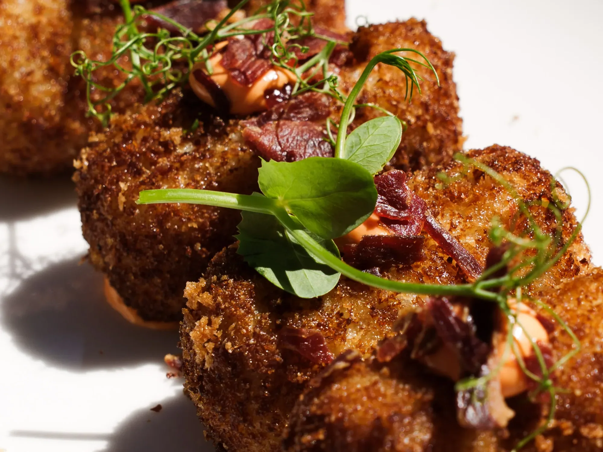 Iberian ham croquettes with fresh herbs